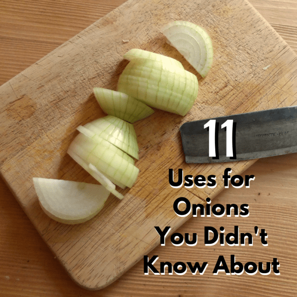11 Uses for onions you didn't know about! Practical and fun ways to use an onion.