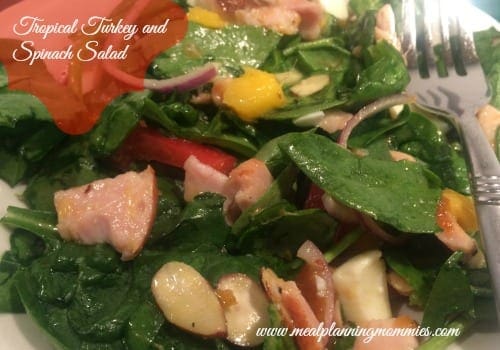 Tropical Turkey and Spinach Salad