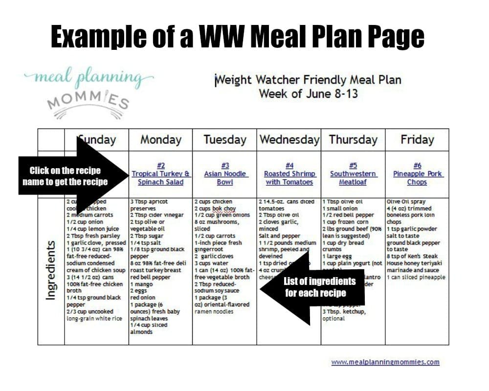 Meal Plan example picture