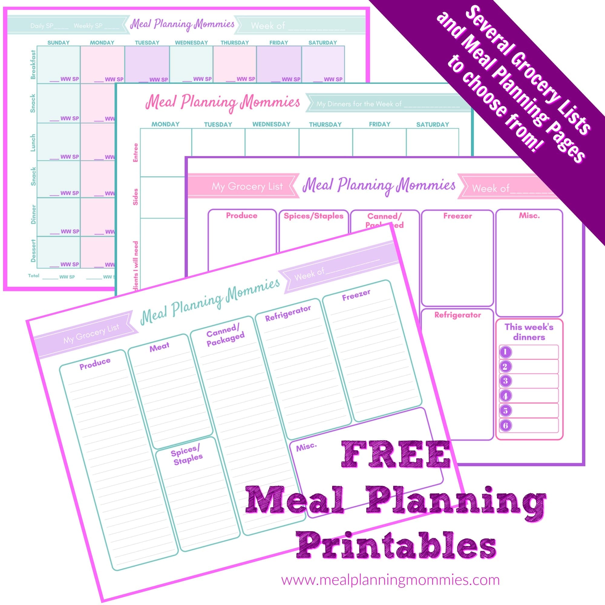 Daily Meal Planning Template from mealplanningmommies.com