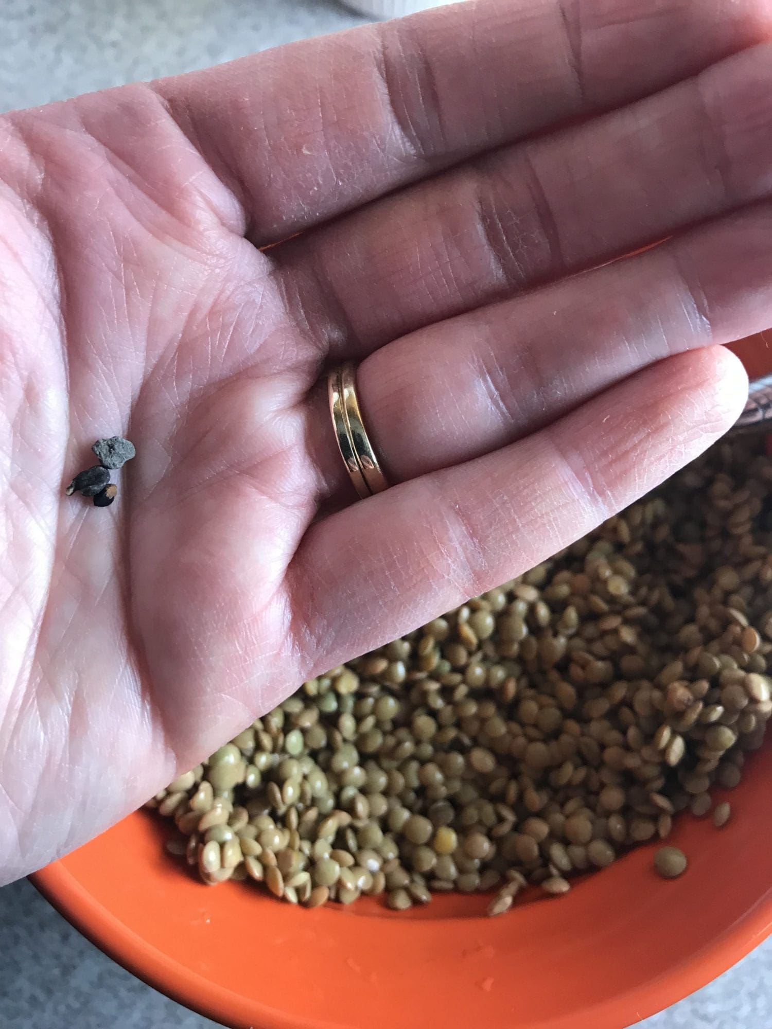 pebbles I found in my lentils