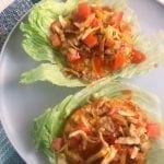 Catalina Taco Turkey Lettuce Wraps/Burgers