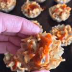Crab Delight Bites - A delicious crab appetizer