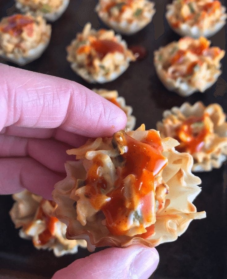 Crab Delight Bites - A delicious crab appetizer - Meal Planning Mommies