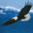 Debra Radaker's avatar