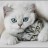Audrey Stewart's avatar