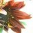 Debbi McNeer's avatar